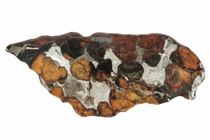 Sericho Pallasite Meteorite ( g) Slice - Kenya #346451